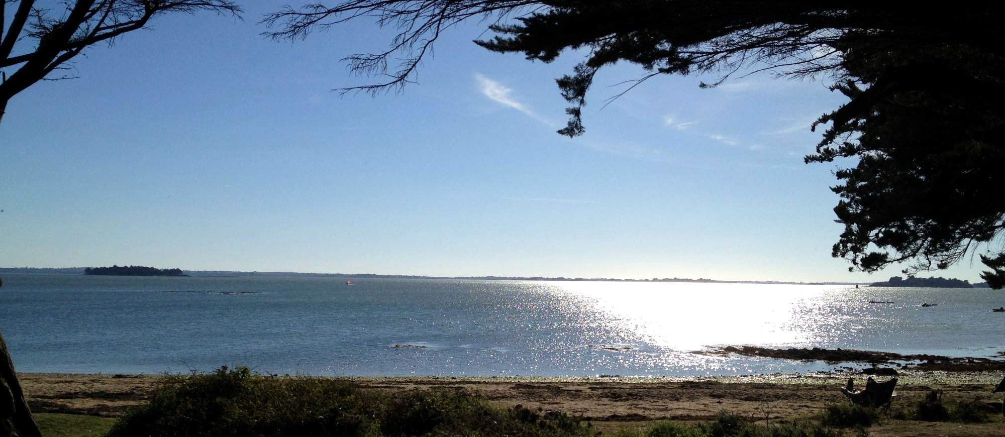 Le golfe du Morbihan vu depuis la côte, entre les pins, près de Vannes en Bretagne